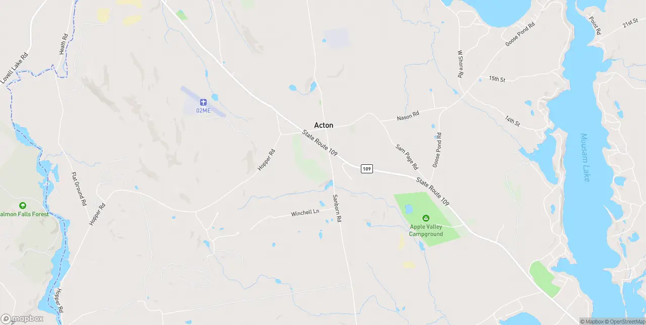 Internet in Acton