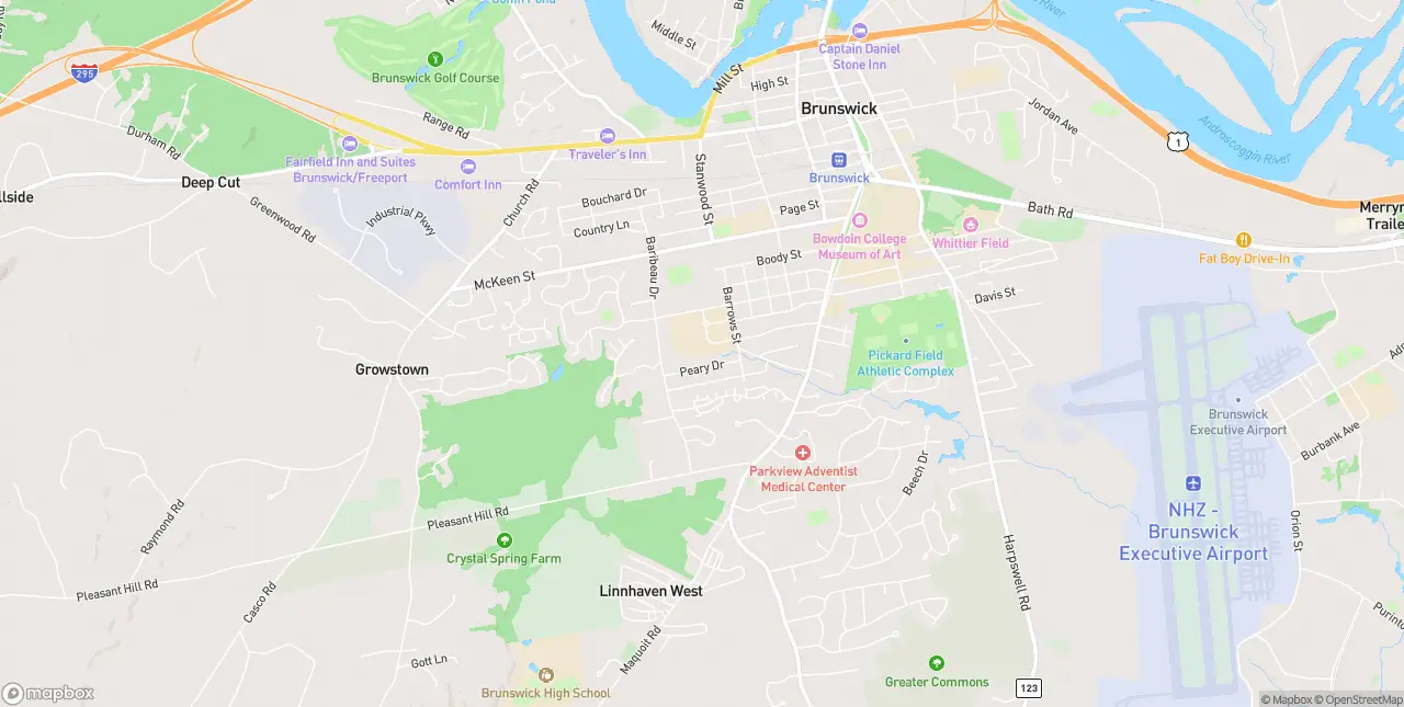 Internet in Brunswick