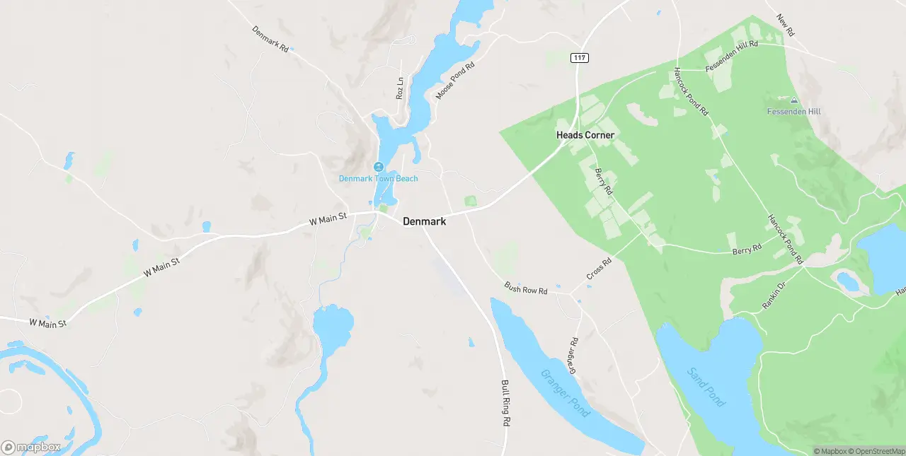 Internet in Denmark