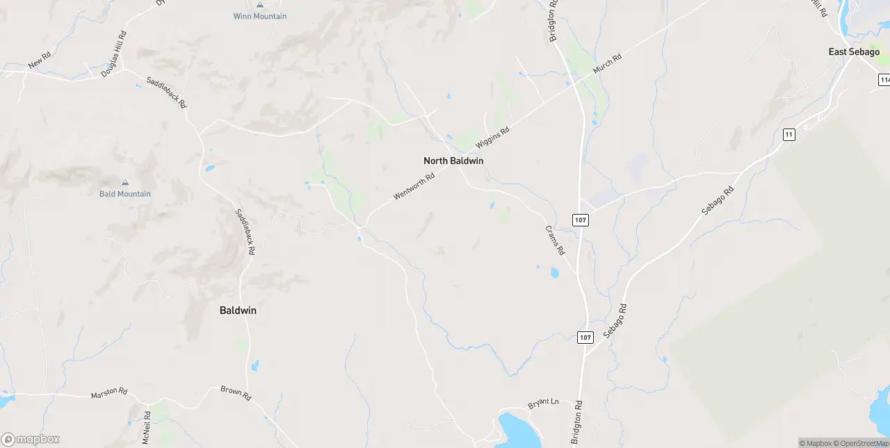 Internet in East Baldwin
