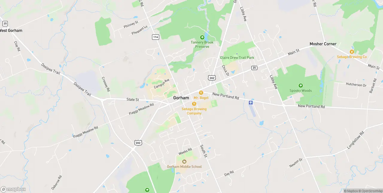 Internet in Gorham