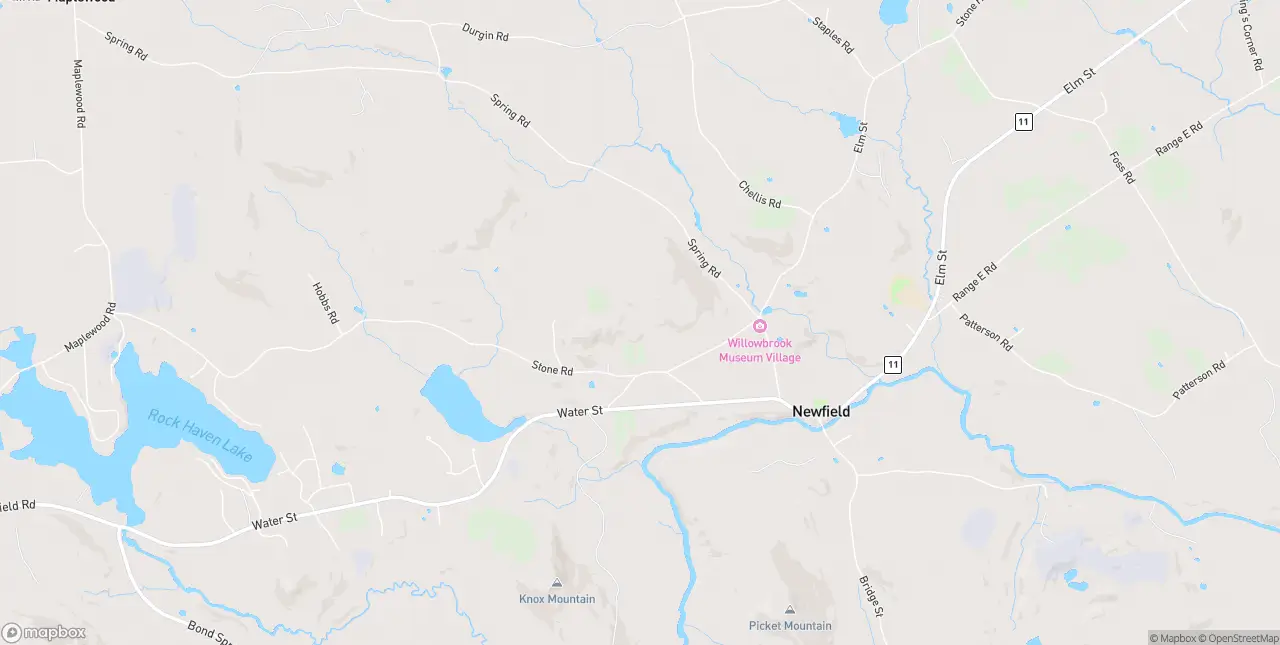Internet in Newfield