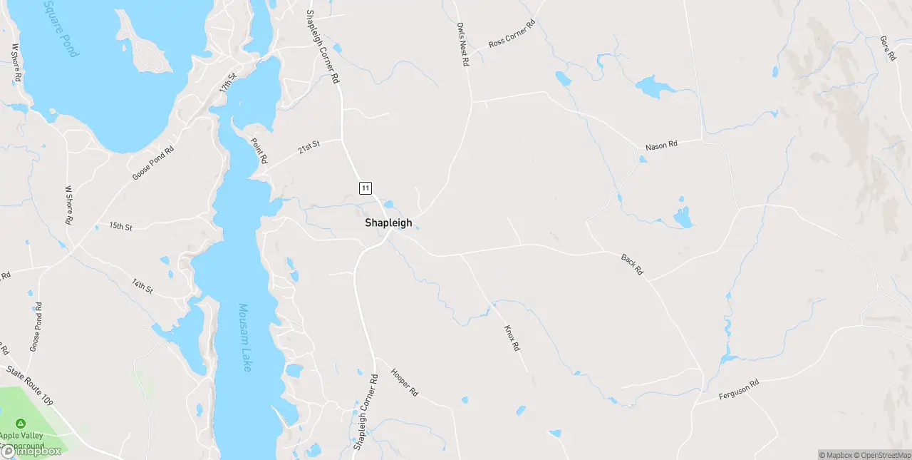 Internet in Shapleigh