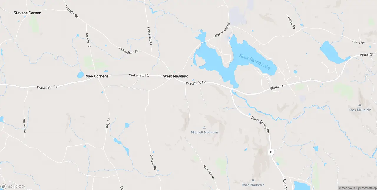 Internet in West Newfield