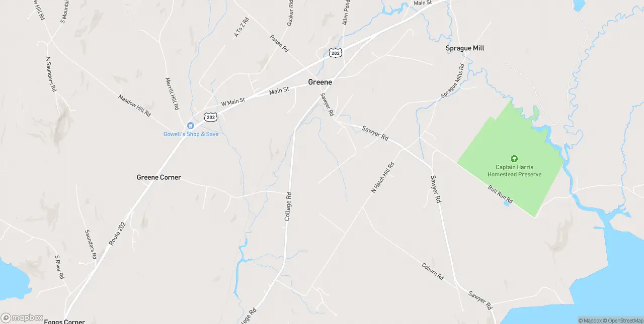 Internet in Greene