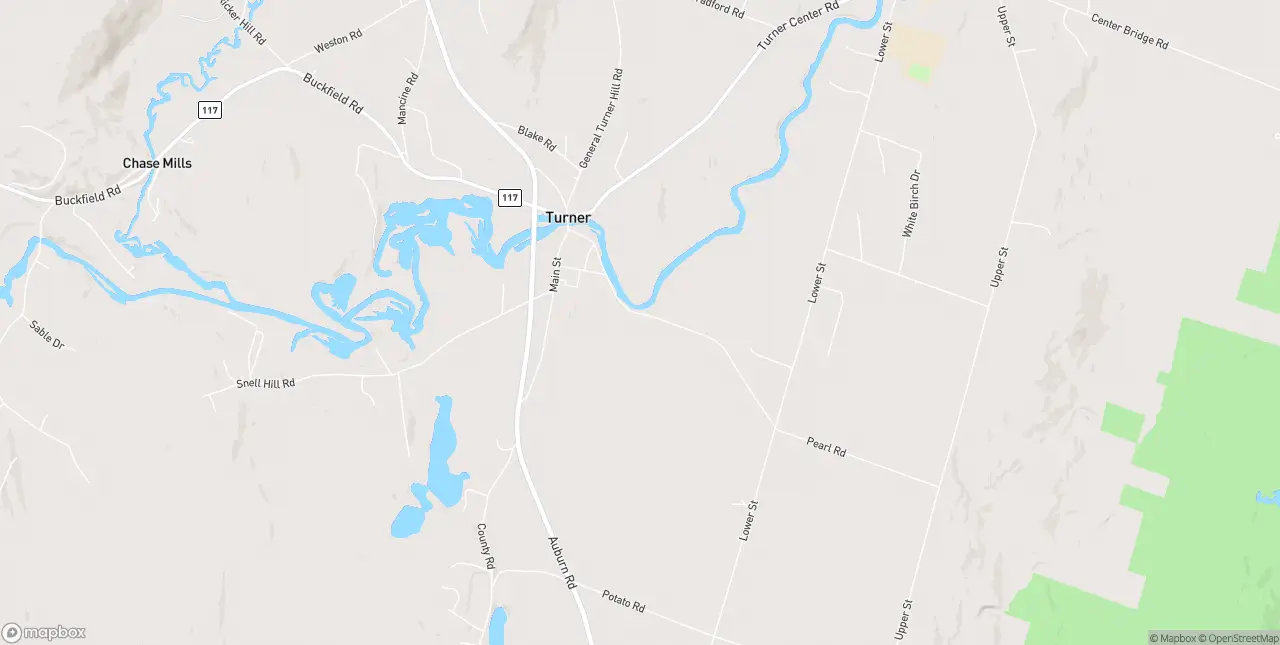 Internet in Turner