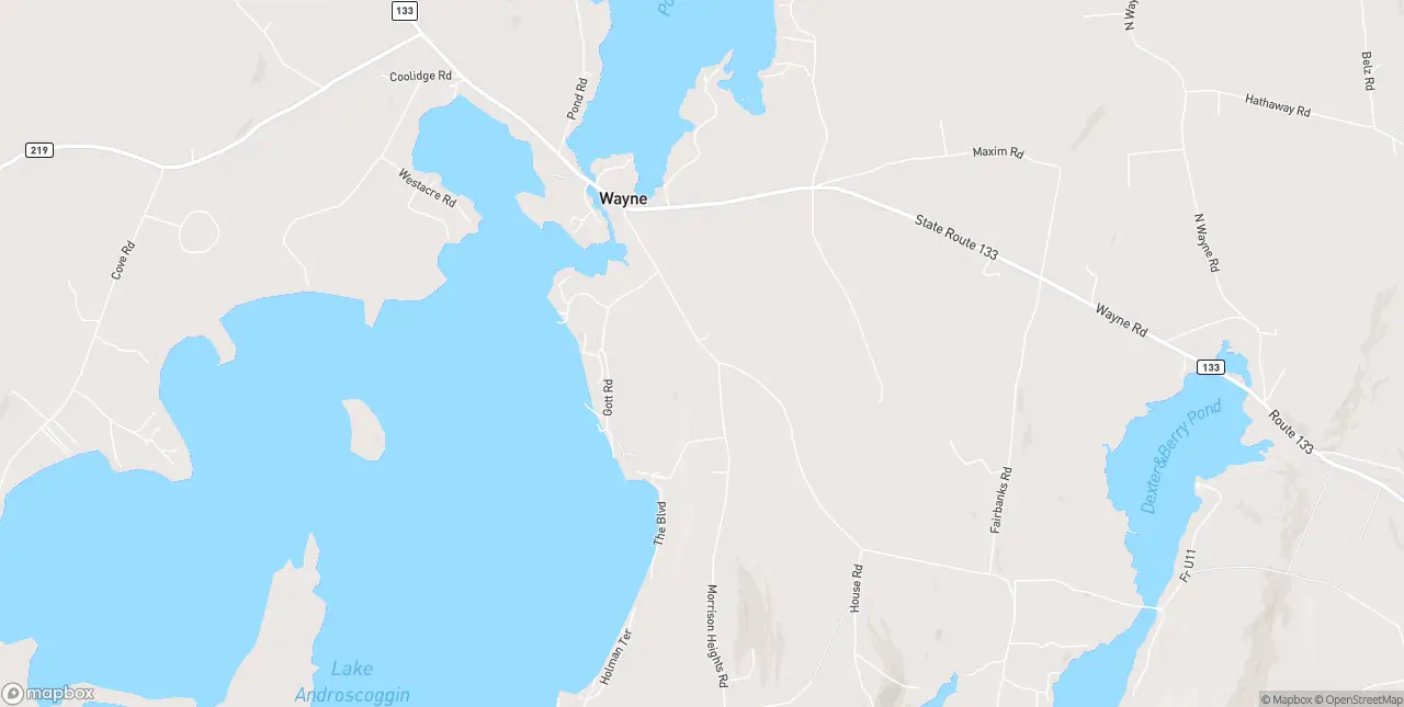Internet in Wayne
