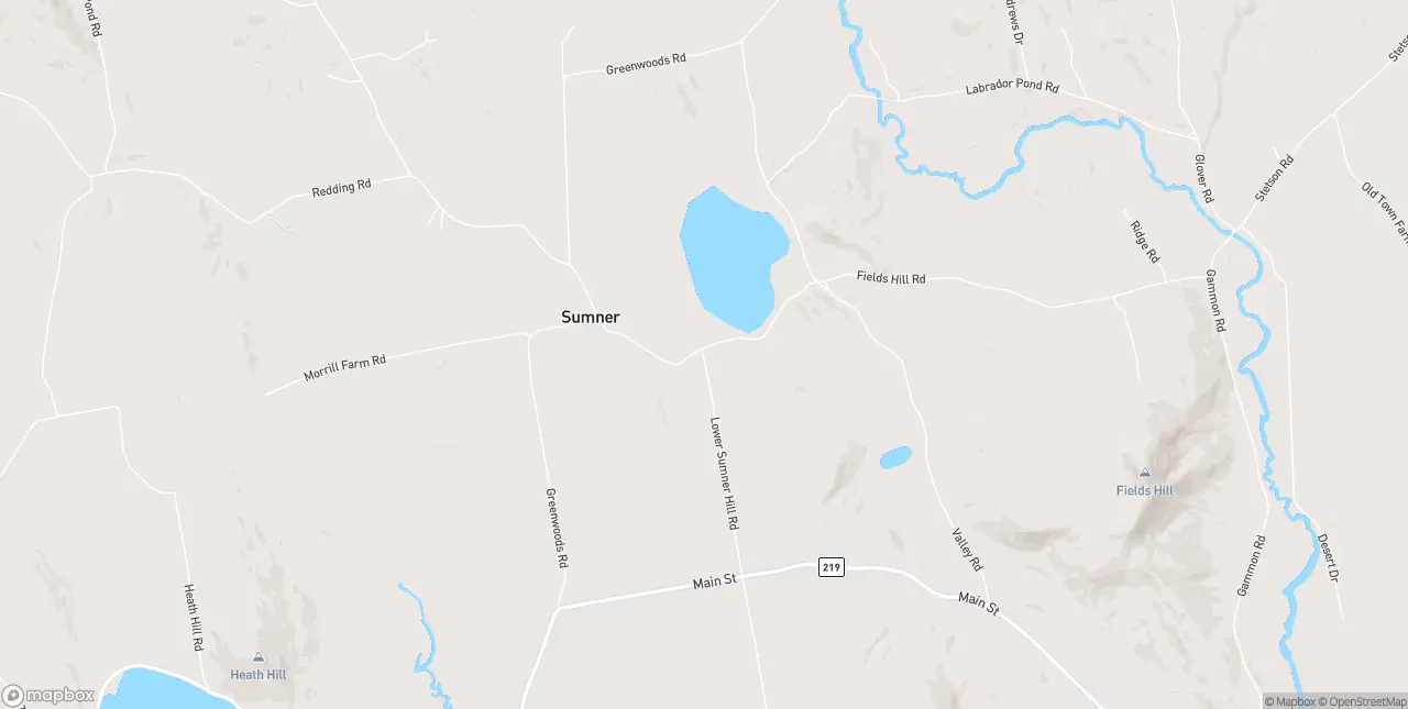Internet in Sumner