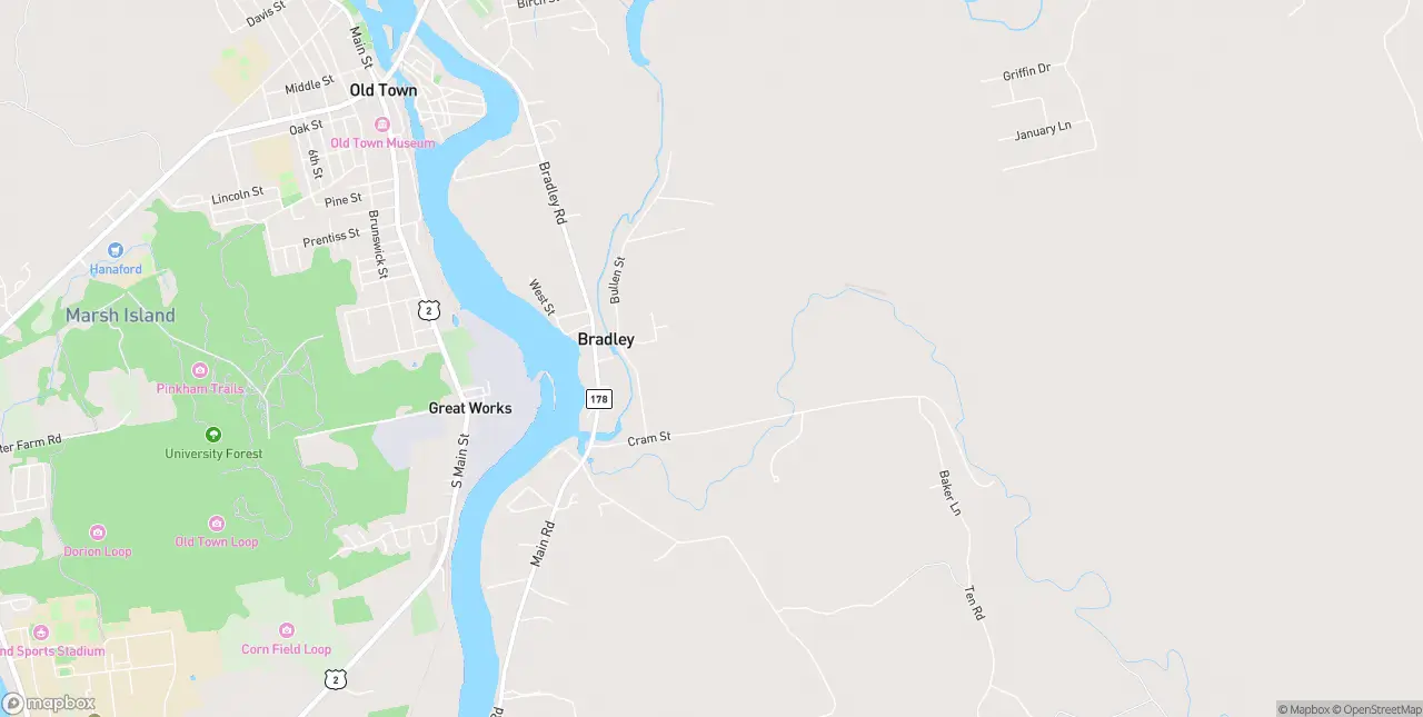 Internet in Bradley