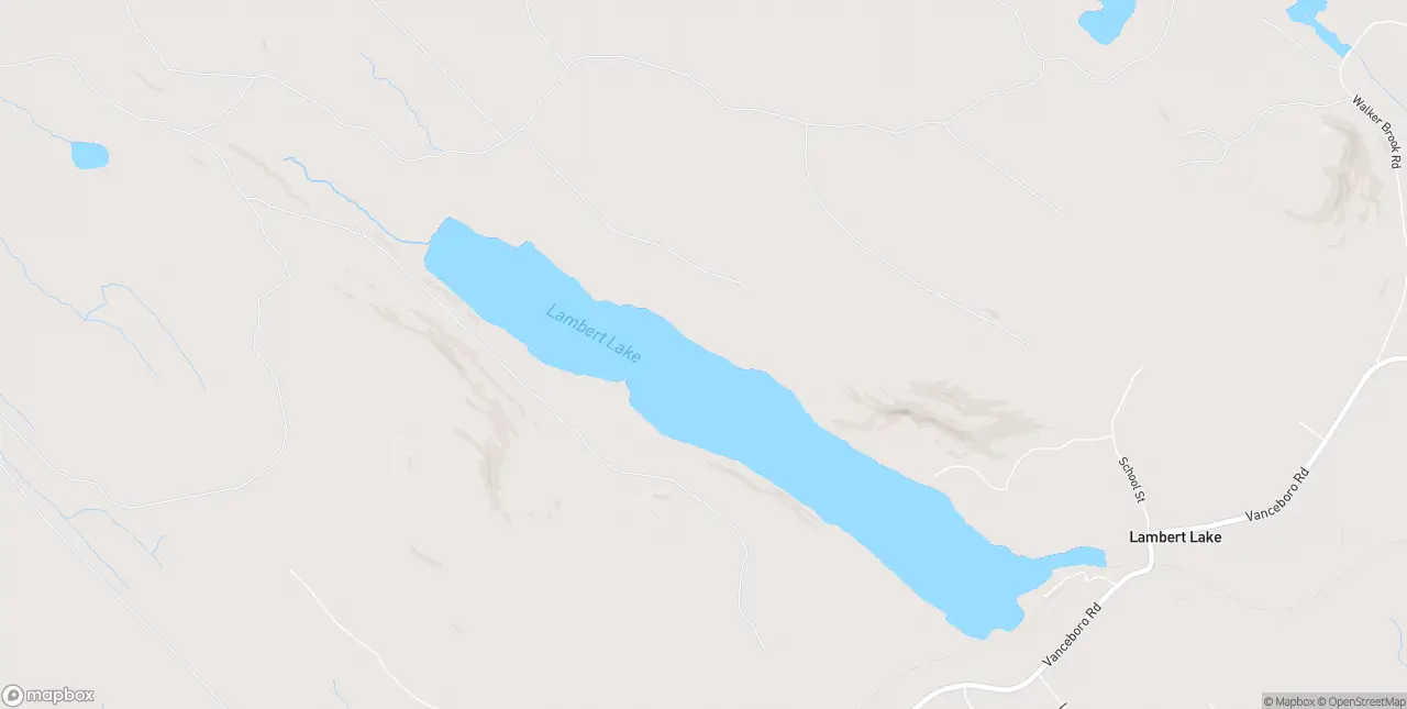 Internet in Lambert Lake