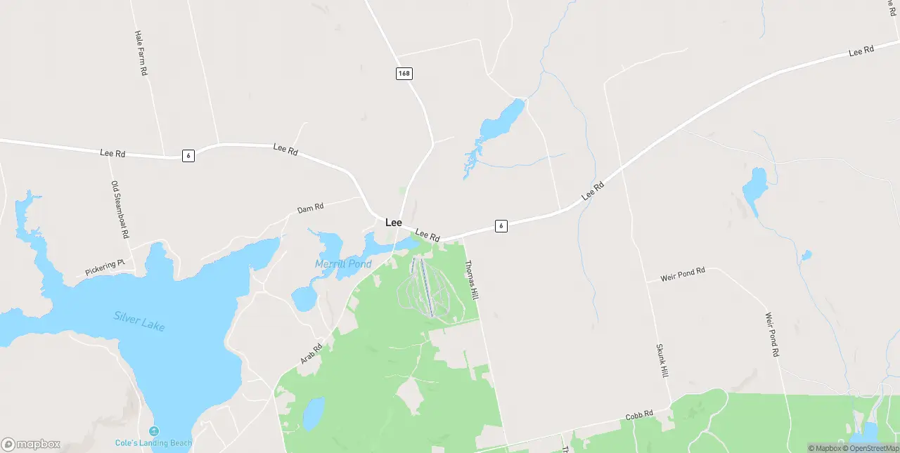 Internet in Lee