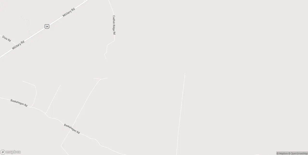 Internet in Wytopitlock
