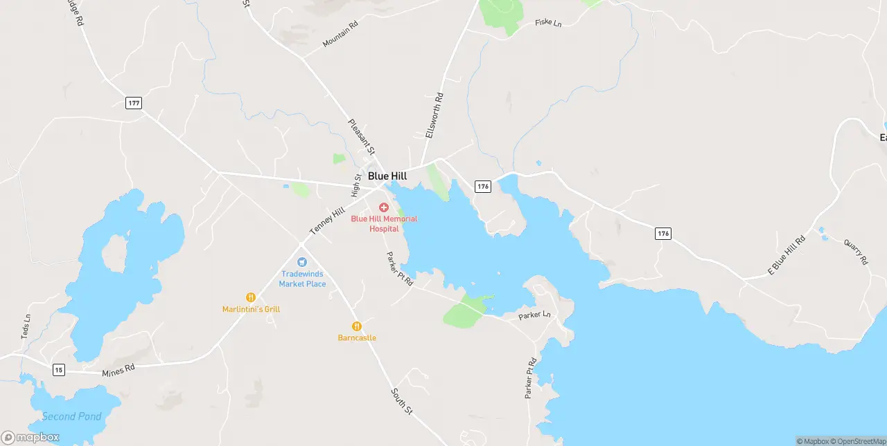 Internet in Blue Hill