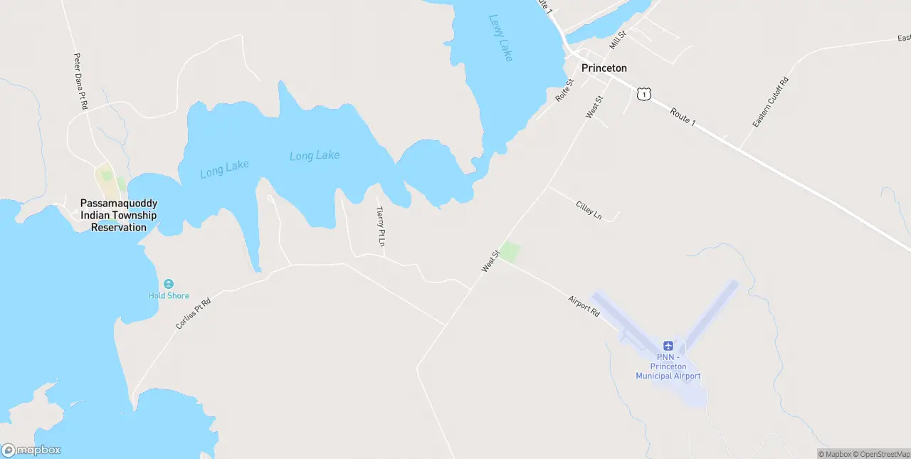 Internet in Princeton