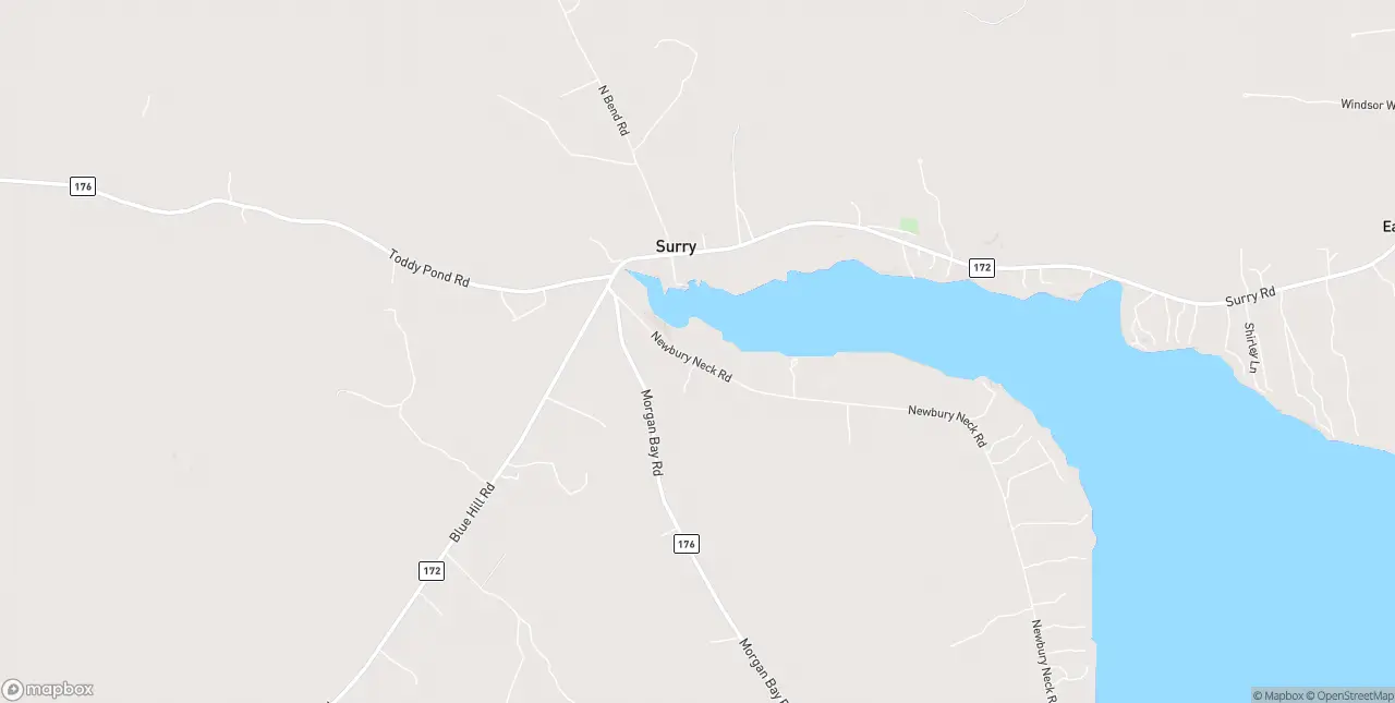 Internet in Surry