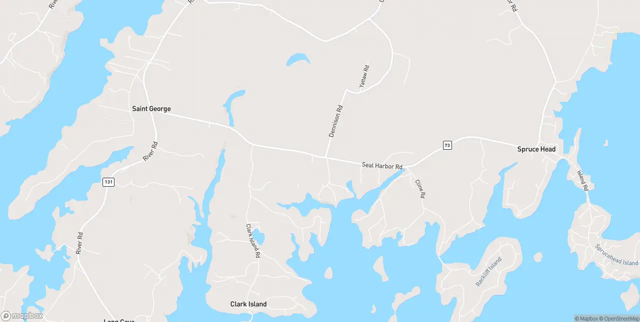 Internet in Spruce Head