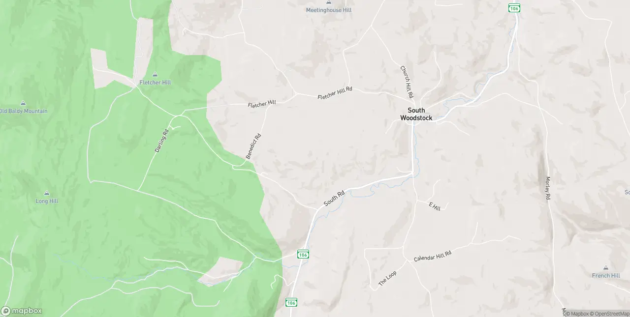 Internet in South Woodstock