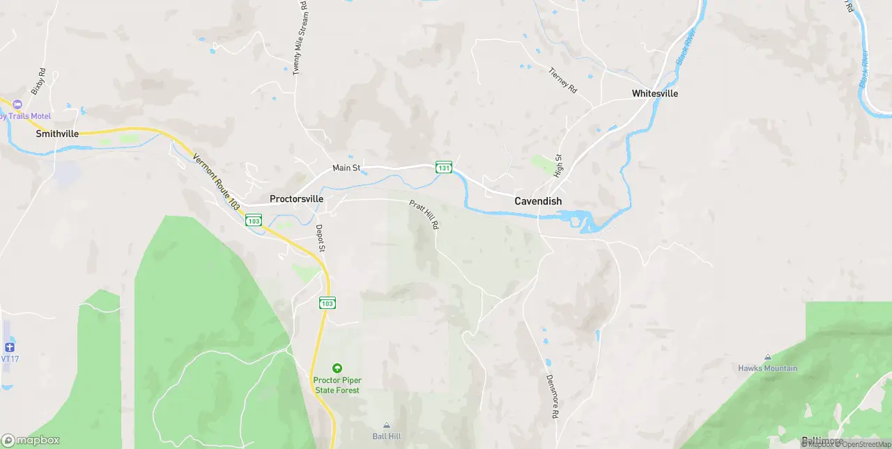 Internet in Cavendish