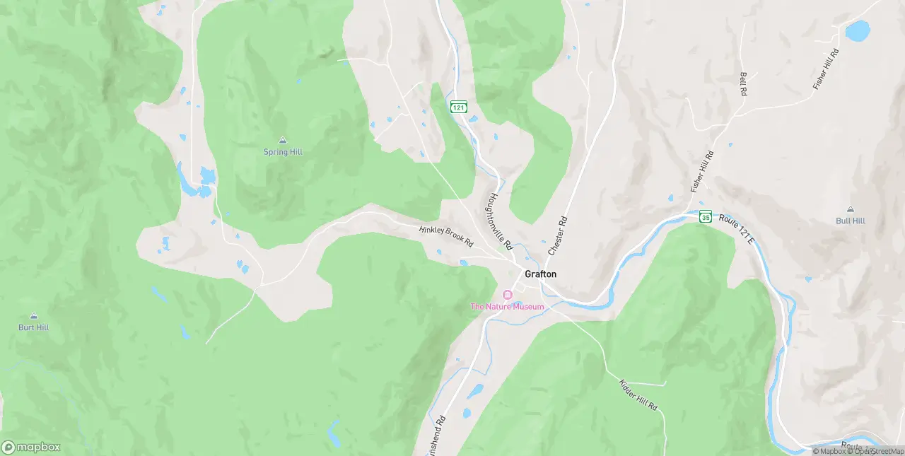 Internet in Grafton