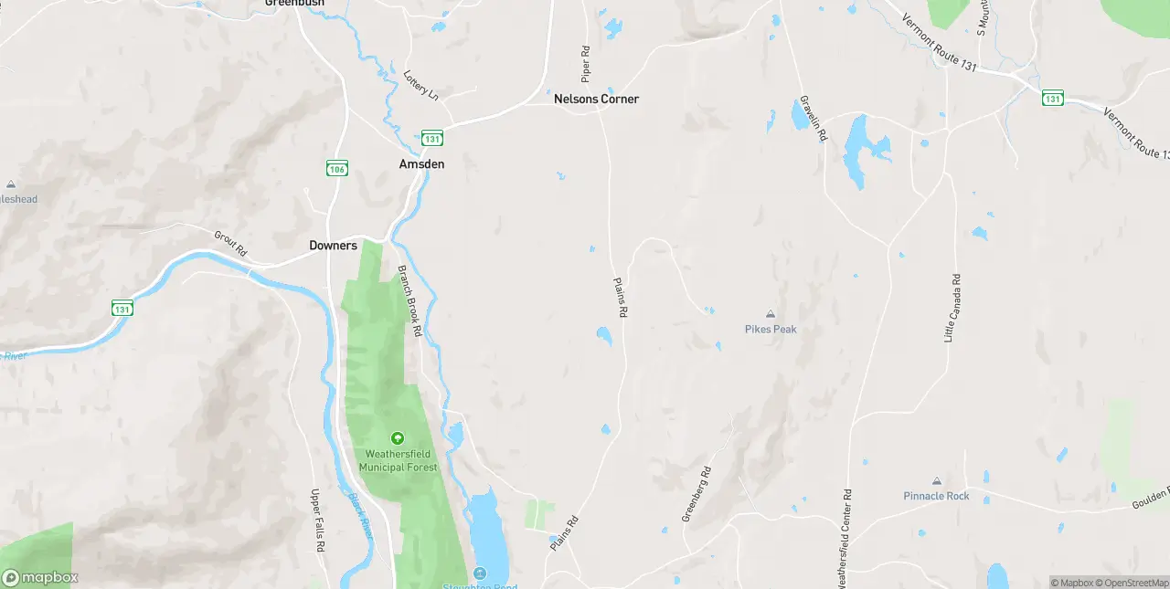 Internet in Perkinsville