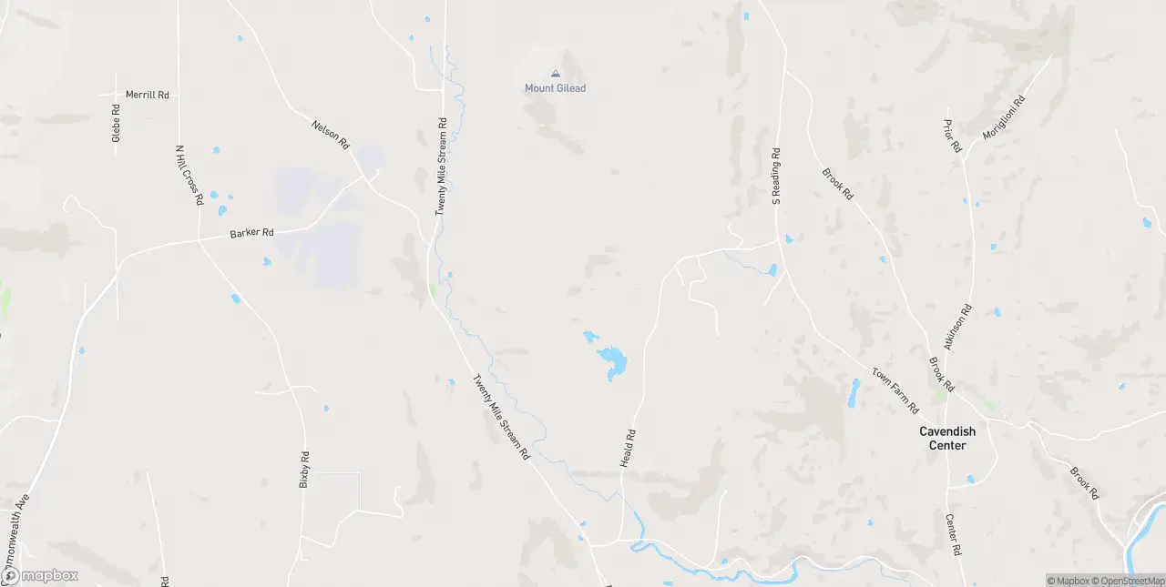 Internet in Proctorsville