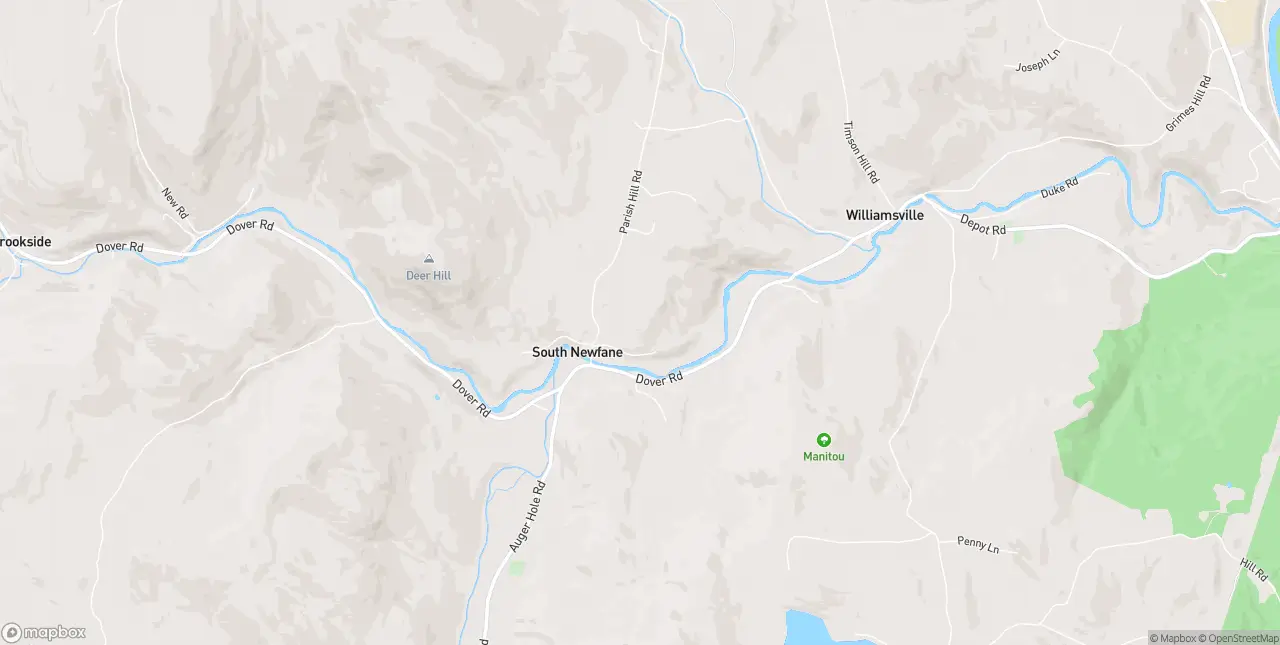Internet in South Newfane