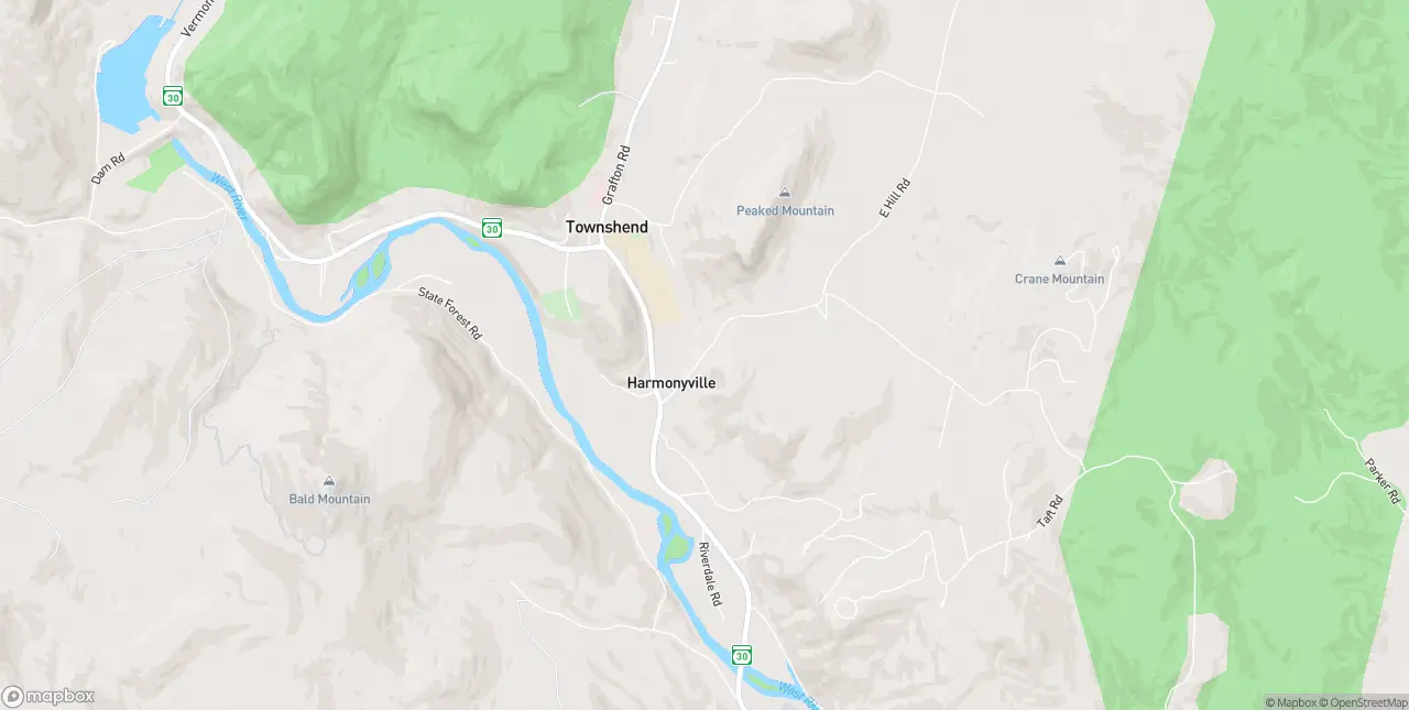 Internet in Townshend