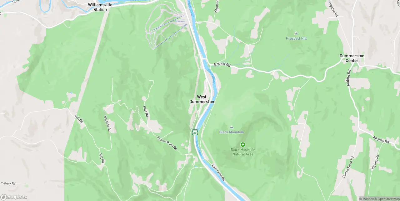 Internet in West Dummerston