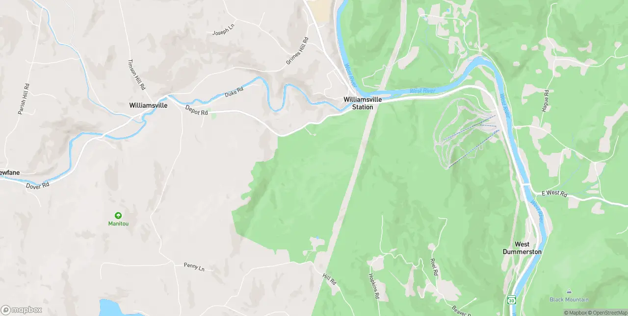 Internet in Williamsville