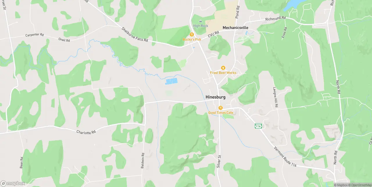 Internet in Hinesburg