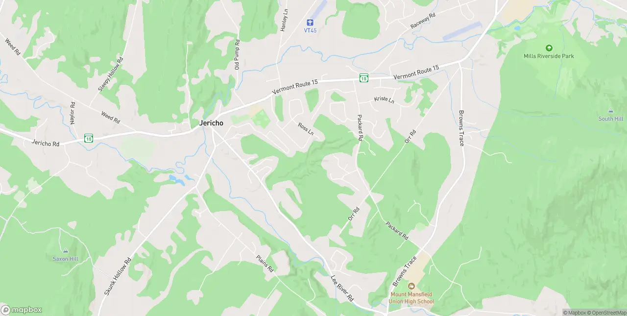Internet in Jericho