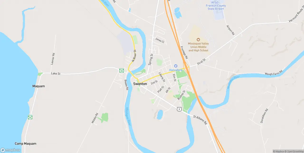 Internet in Swanton