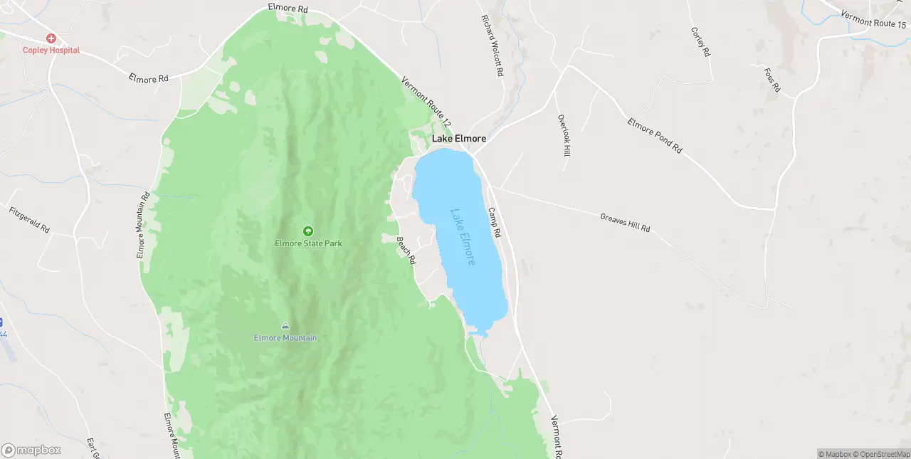 Internet in Lake Elmore