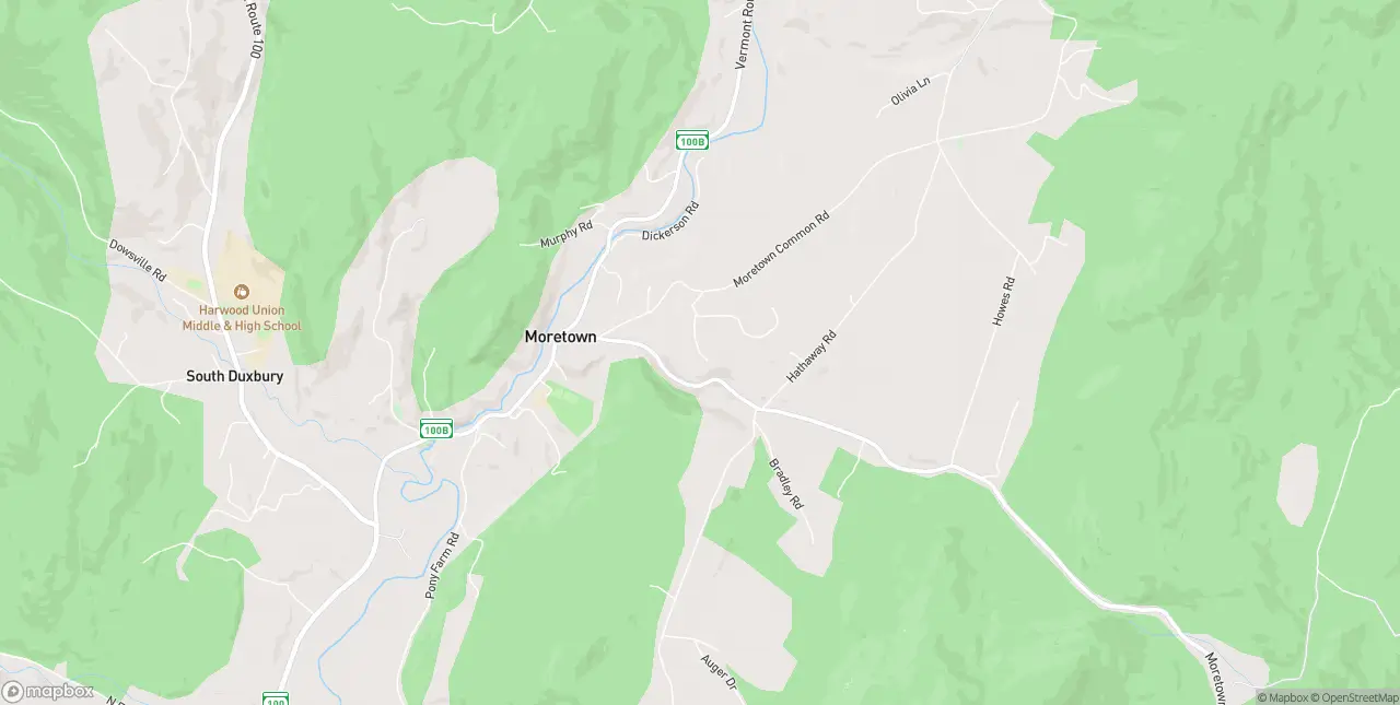 Internet in Moretown