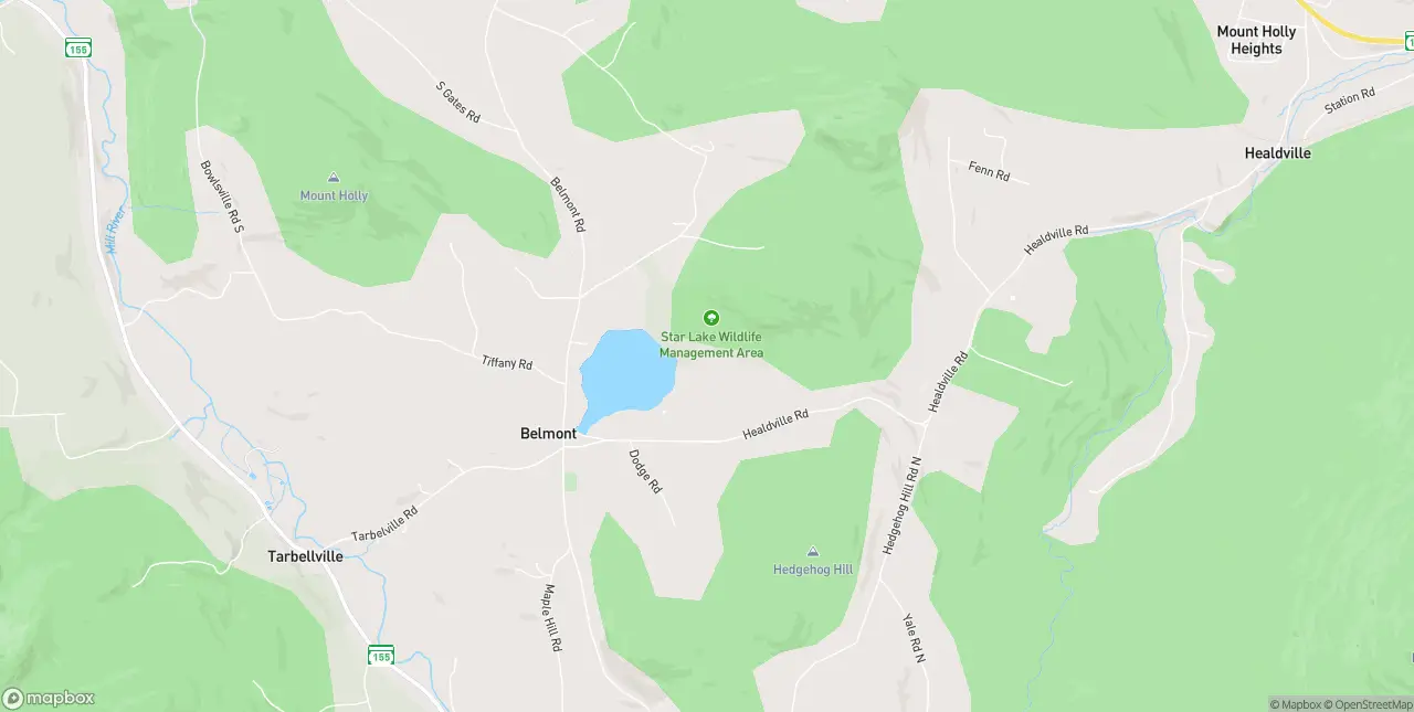 Internet in Belmont