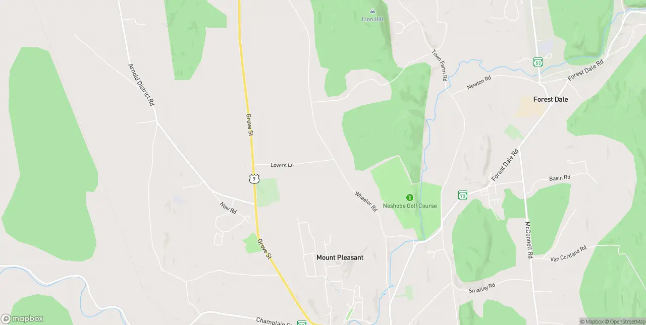 Internet in Brandon