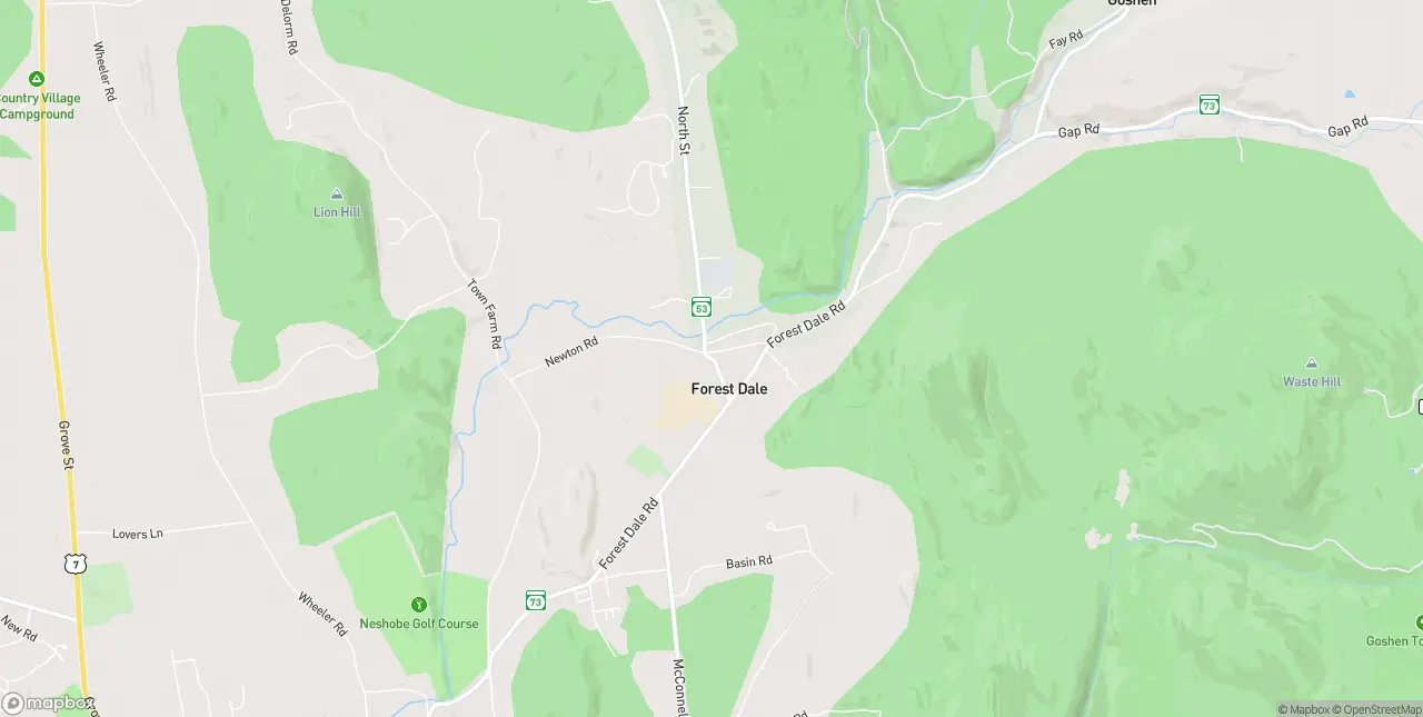 Internet in Forest Dale