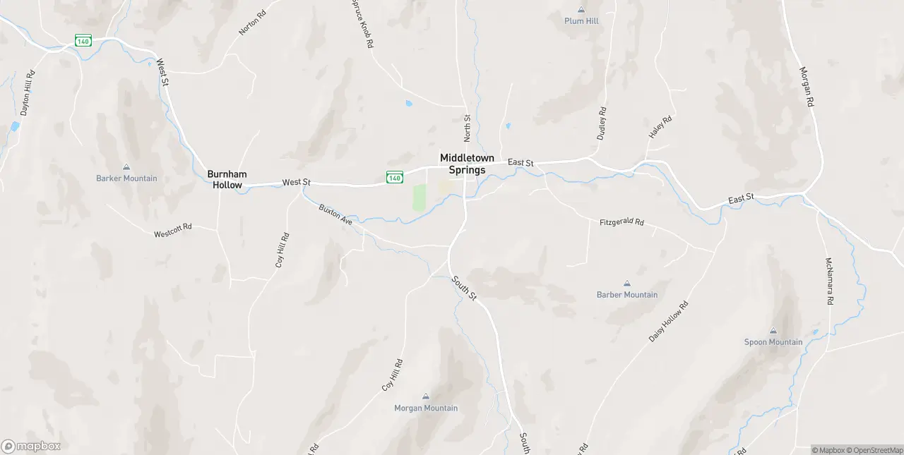 Internet in Middletown Springs