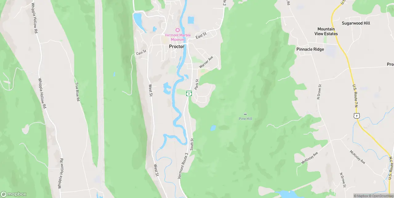 Internet in Proctor