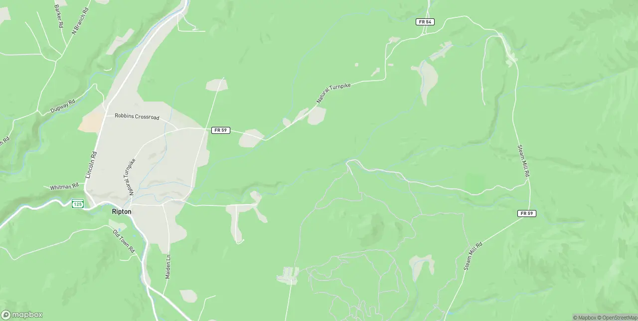 Internet in Ripton