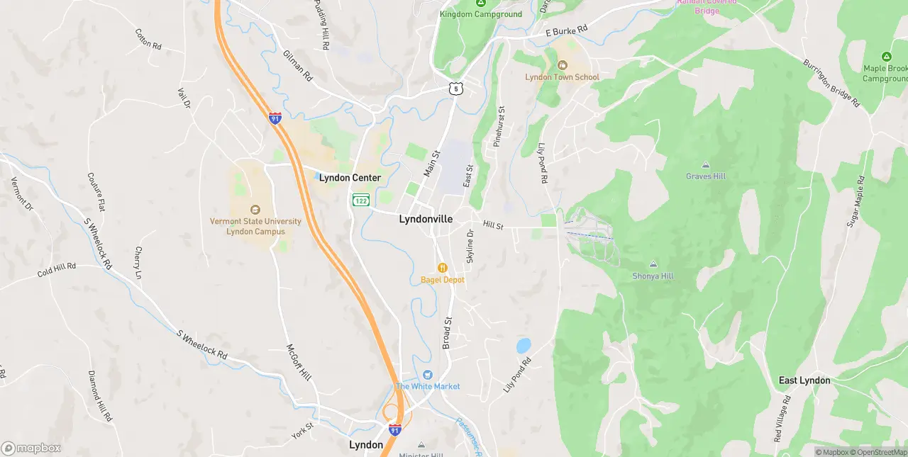 Internet in Lyndon