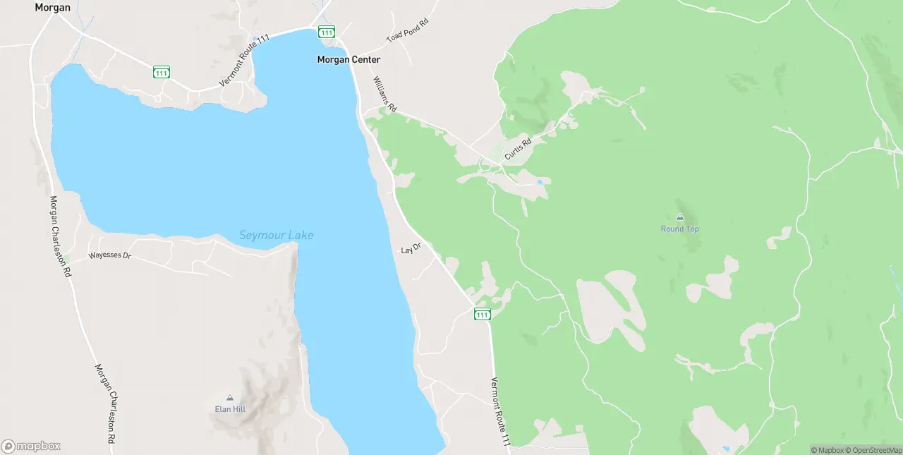 Internet in Morgan