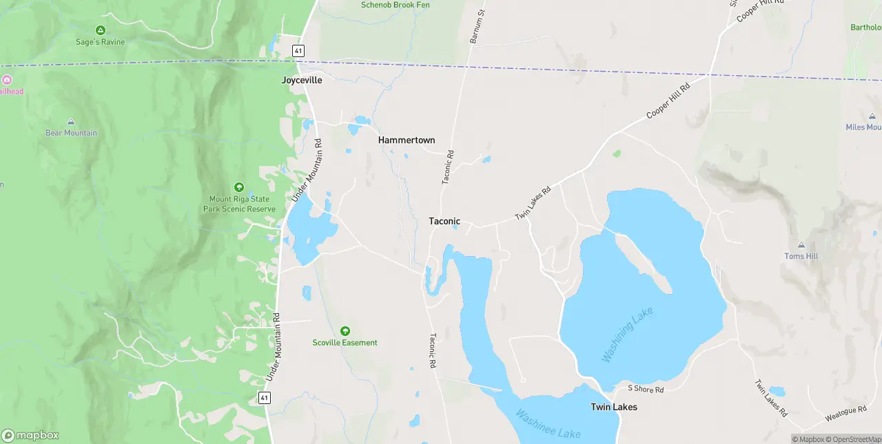 Internet in Taconic