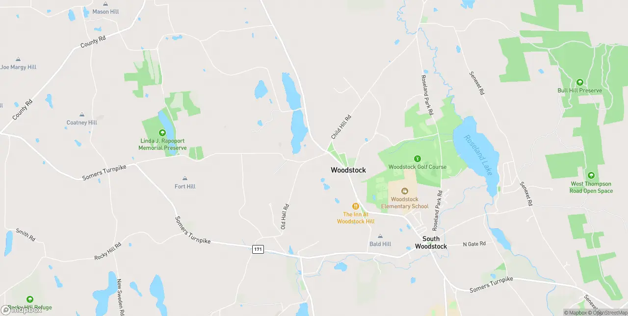 Internet in Woodstock