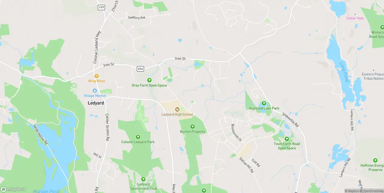 Internet in Ledyard
