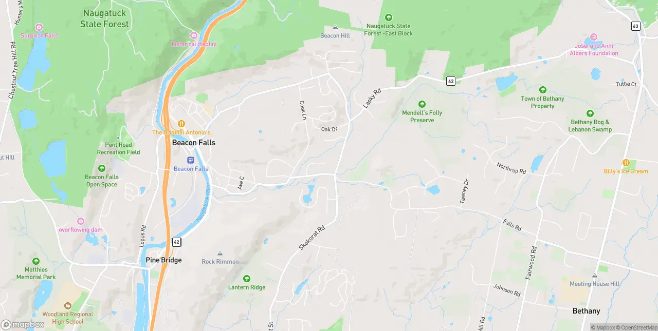 Internet in Beacon Falls