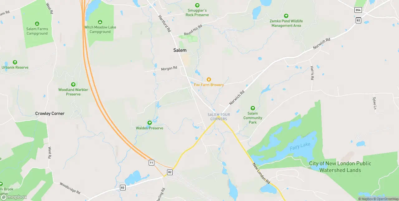 Internet in Salem