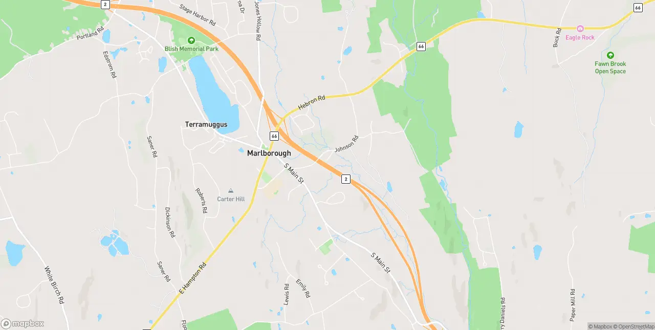 Internet in Marlborough