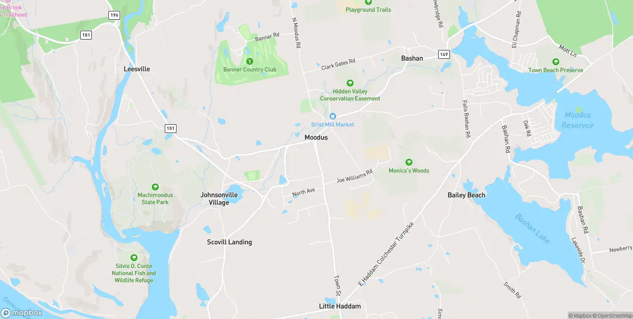 Internet in Moodus