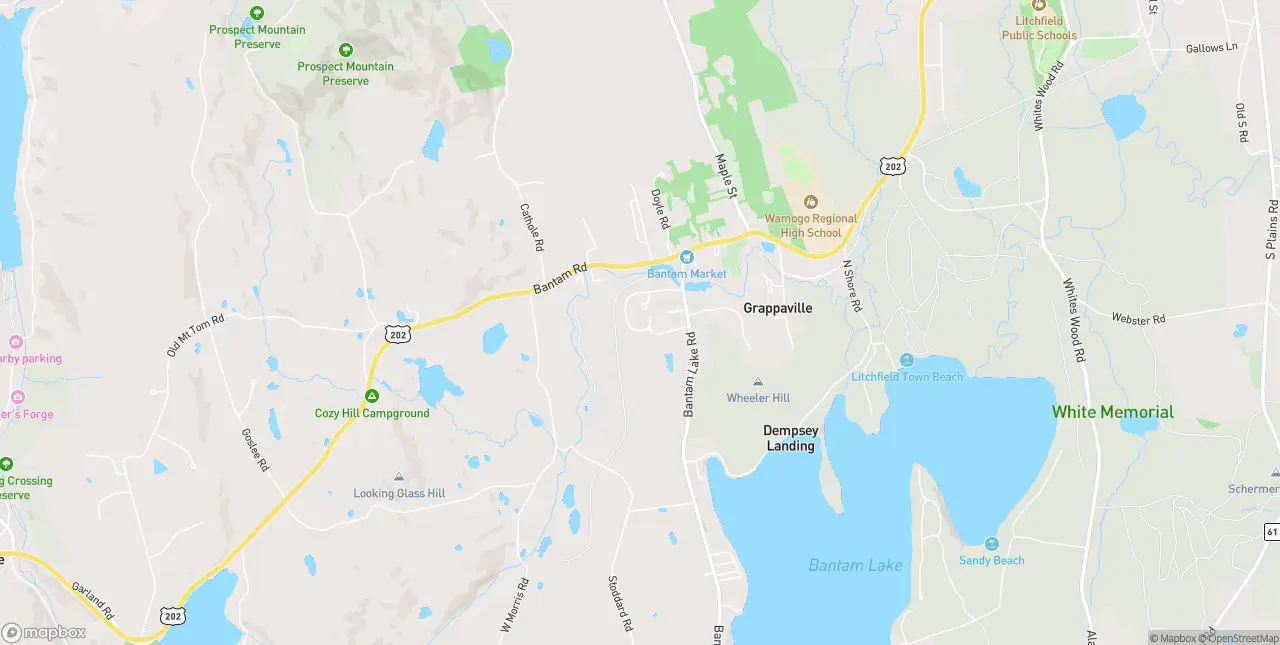 Internet in Bantam